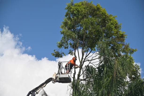Mulching Services in Cowpens, SC